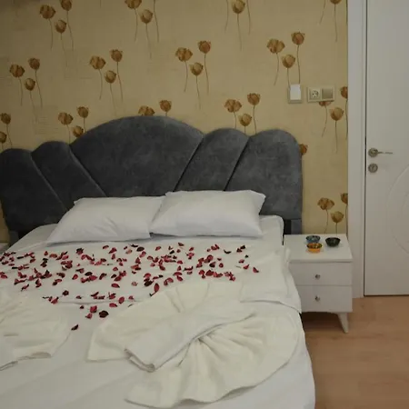 Отель Rodion